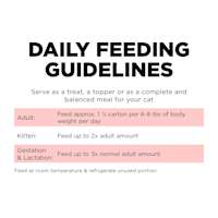 Go! Solutions Carnivore Grain-Free Salmon + Cod Pâté wet cat food feeding guidelines