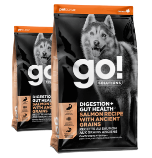 Go! Solutions Digestion + Gut Health Salmon Recipe with Ancient Grains for Dogs