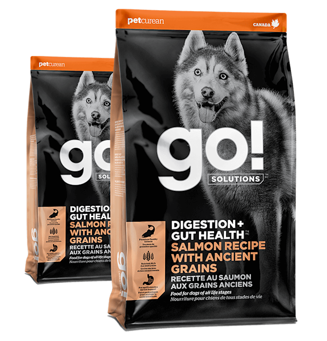Go! Solutions Digestion + Gut Health Salmon Recipe with Ancient Grains for Dogs