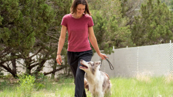 Woman walking beside dog in field