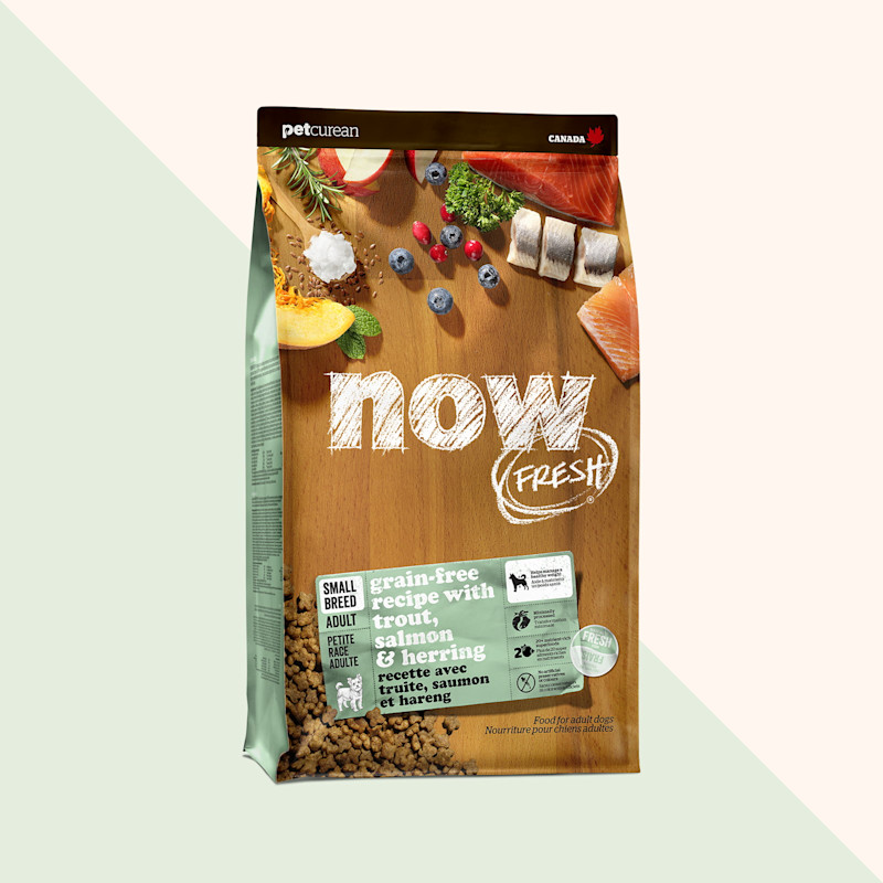 Now Fresh Grain-Free Recipe with Trout, Salmon & Herring dry food for small breed adult dogs