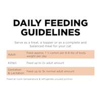 Go! Solutions Skin + Coat Care Salmon Pâté with Grains wet cat food feeding guidelines