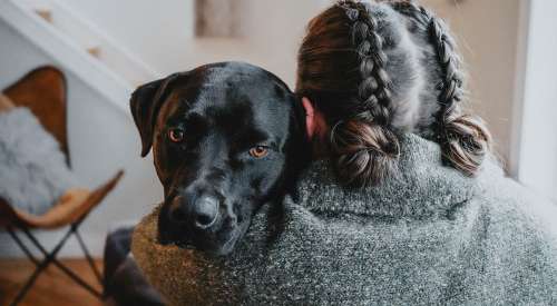 Black Lab being hugged looking over owner's shoulder