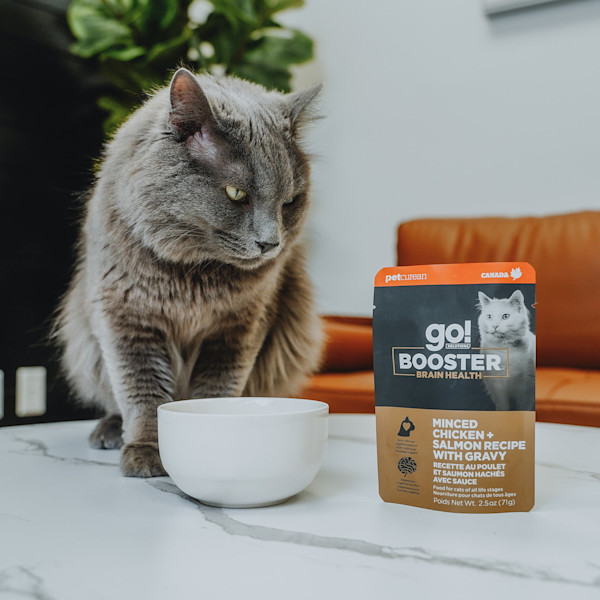 GO! Solutions Brain Health Minced Chicken & Salmon With Gravy Booster Cat Food Topper