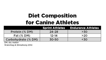 Diet Composition for Canine Athletes