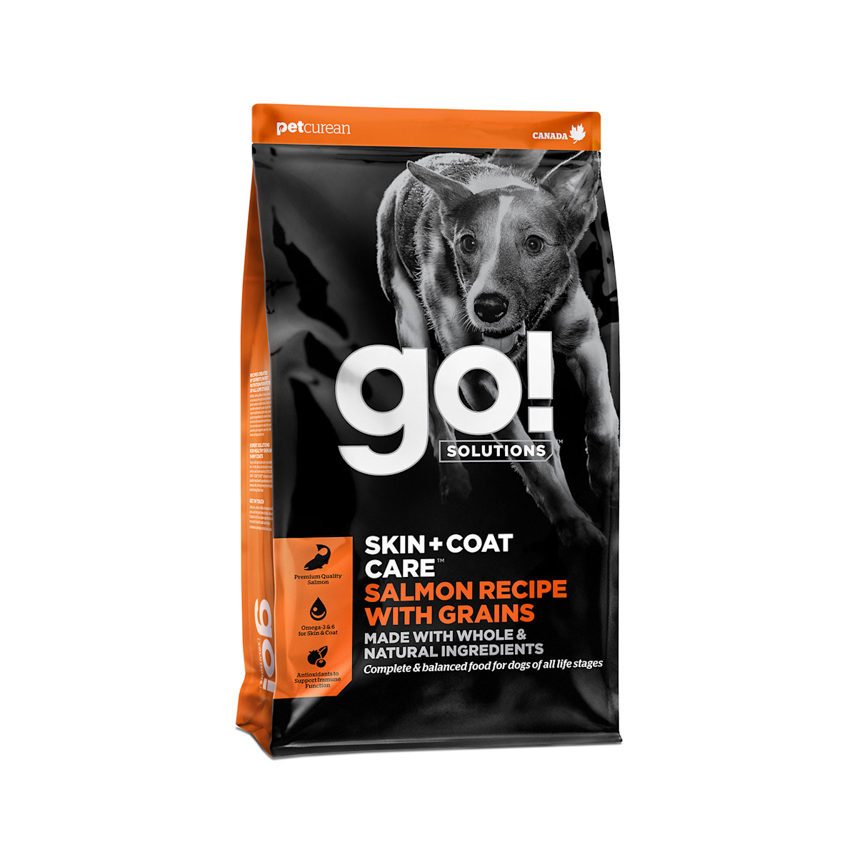 Go! Solutions Skin + Coat Care מתכון לסלמון עם דגנים