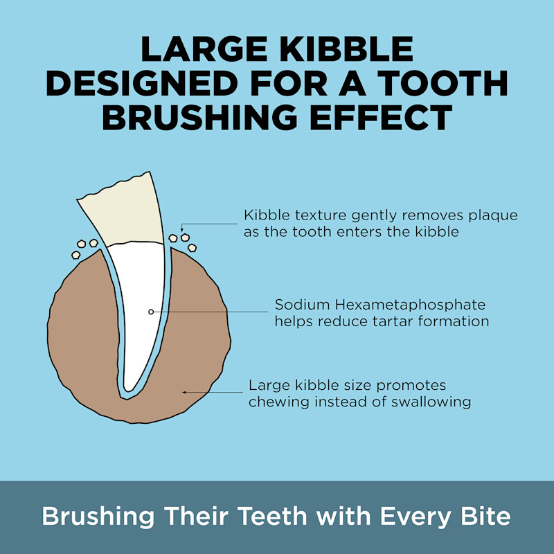 Large kibble designed for a tooth brushing effect