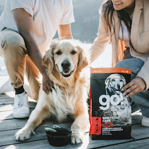 Golden Retriever on dock with owners and back of Go! kibble