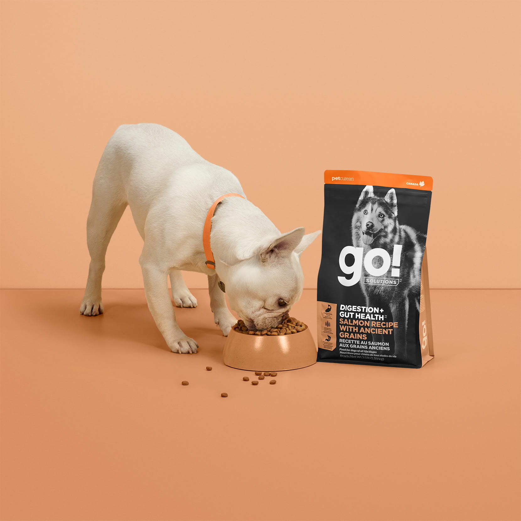 Go dog outlet food puppy