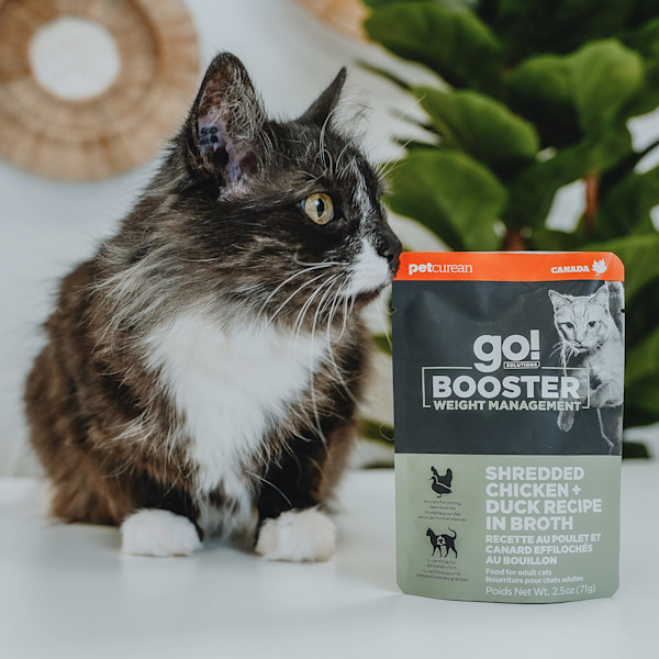 GO! Solutions Shredded Chicken & Duck in Broth Booster Cat Food Topper