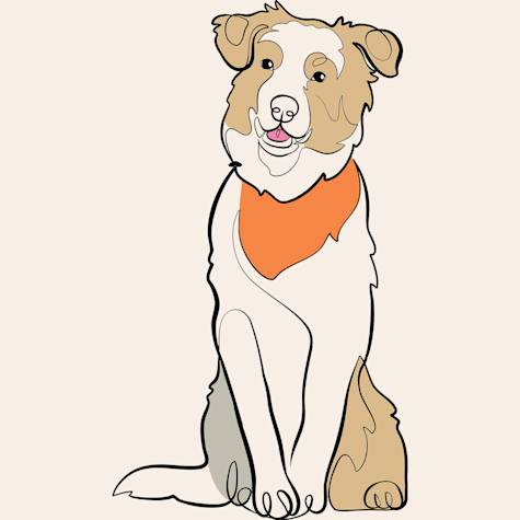 Dog illustration