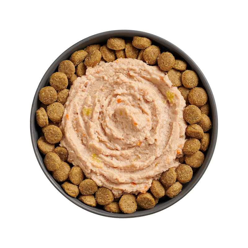 Bowl of kibble topped with Go! Booster Joint Care Chicken, Salmon + Duck Pâté for dogs