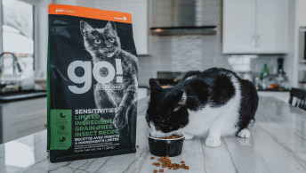 Cat eating GO! SENSITIVITIES Insect Recipe out of bowl on kitchen island