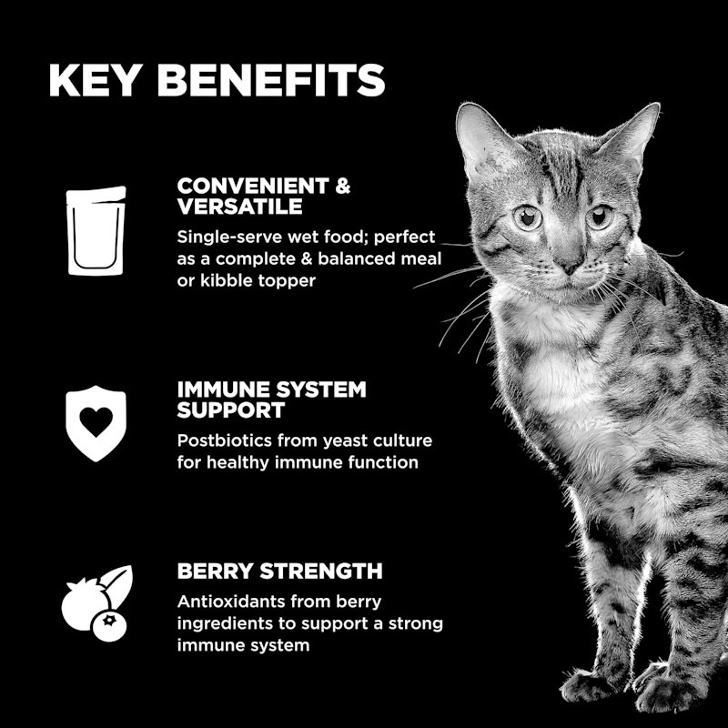 Convenient and versatile to serve, immune system support, and antioxidants from berries to support a strong immune system