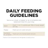 Go! Solutions Carnivore Grain-Free Shredded Lamb + Boar Recipe wet dog food feeding guidelines