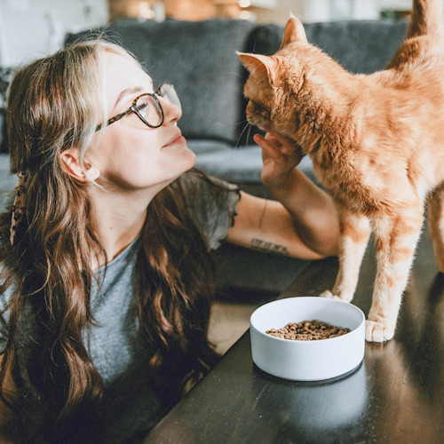Woman greeting cat on table with bowl of Go! Solutions Skin + Coat Care kibble