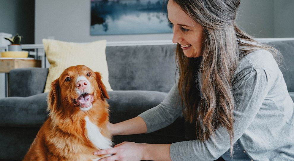 Nova Scotia Duck Tolling Retriever dog smiling in living room beside pet parent