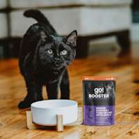 Black cat with bowl and Go! Solutions Booster Weight Management pouch