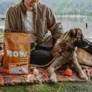 Dog and owner on picnic with bag of Now Fresh adult dog food