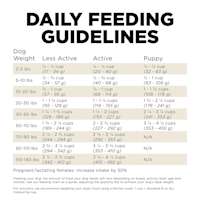 Go! Solutions Carnivore Grain-Free Lamb + Wild Boar Recipe dog food feeding guidelines