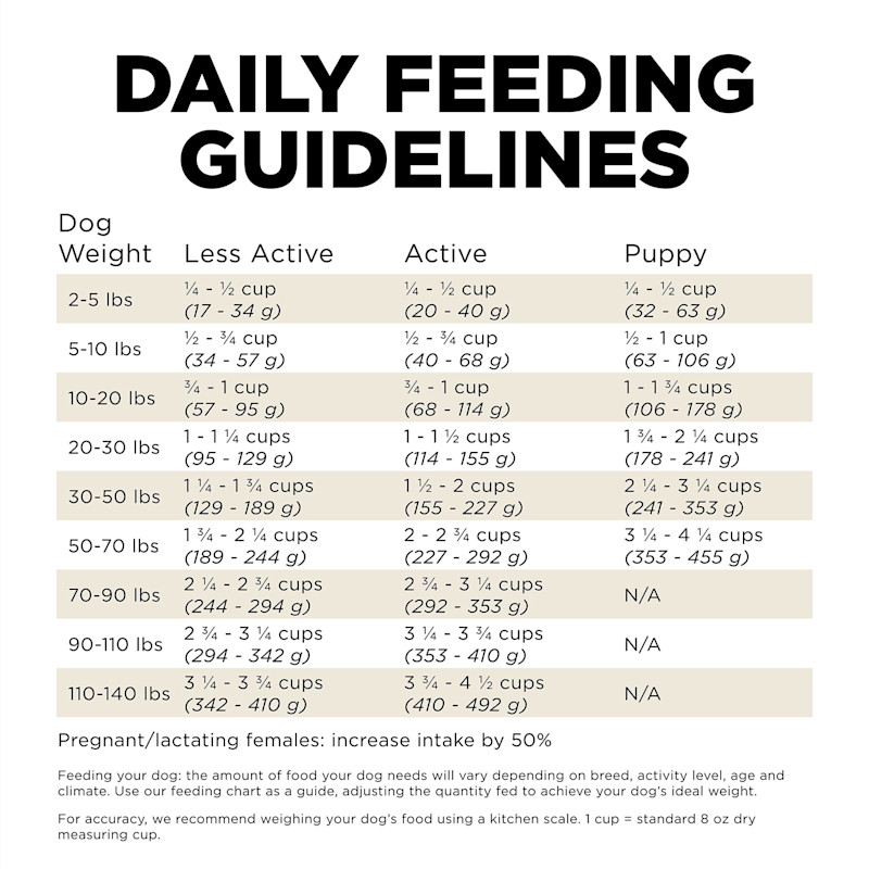 Go! Solutions Carnivore Grain-Free Lamb + Wild Boar Recipe dog food feeding guidelines