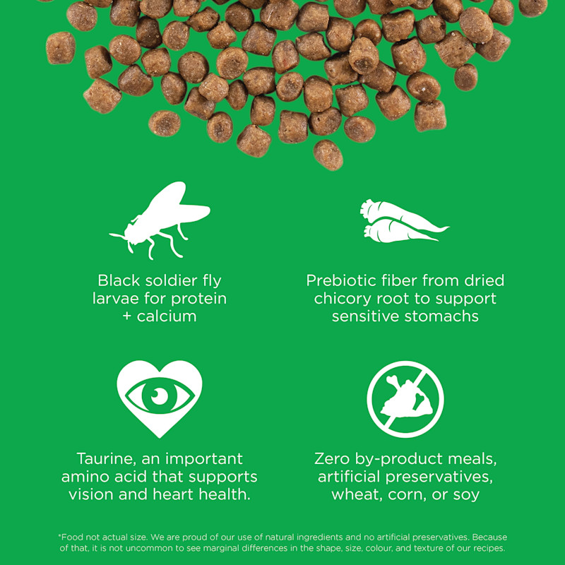 Black soldier fly larvae, prebiotic fiber, taurine, and zero by-product meals