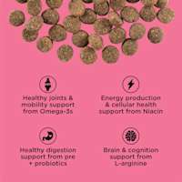 Healthy joints and mobility support from omega-3s, energy production and cellular health support from niacin, healthy digestion support from pre and probiotics, brain and cognition support from l-arginine