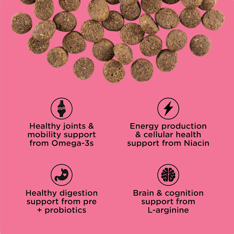 Healthy joints and mobility support from omega-3s, energy production and cellular health support from niacin, healthy digestion support from pre and probiotics, brain and cognition support from l-arginine