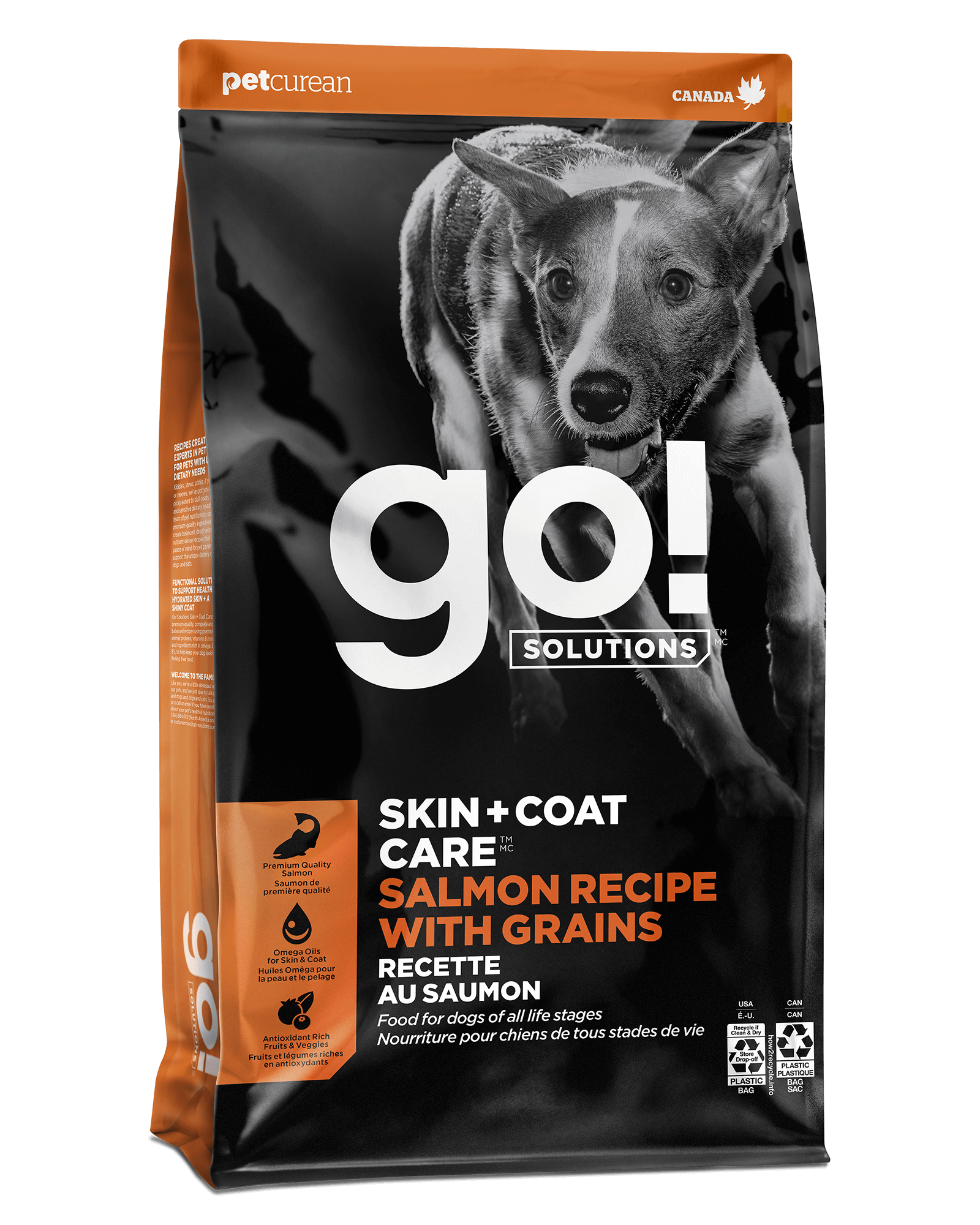 Go! Solutions Skin + Coat Care Salmon with Grains dry dog food