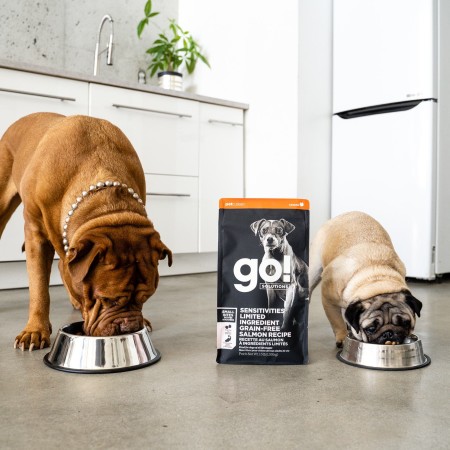 Mastiff and Pug eating GO! SOLUTIONS SENSITIVITIES Limited Ingredient Grain-Free Small Bites Salmon Recipe for Dogs dry food