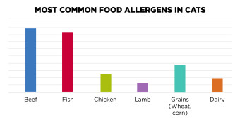 Bar graph of Common Food Allergens in Cats