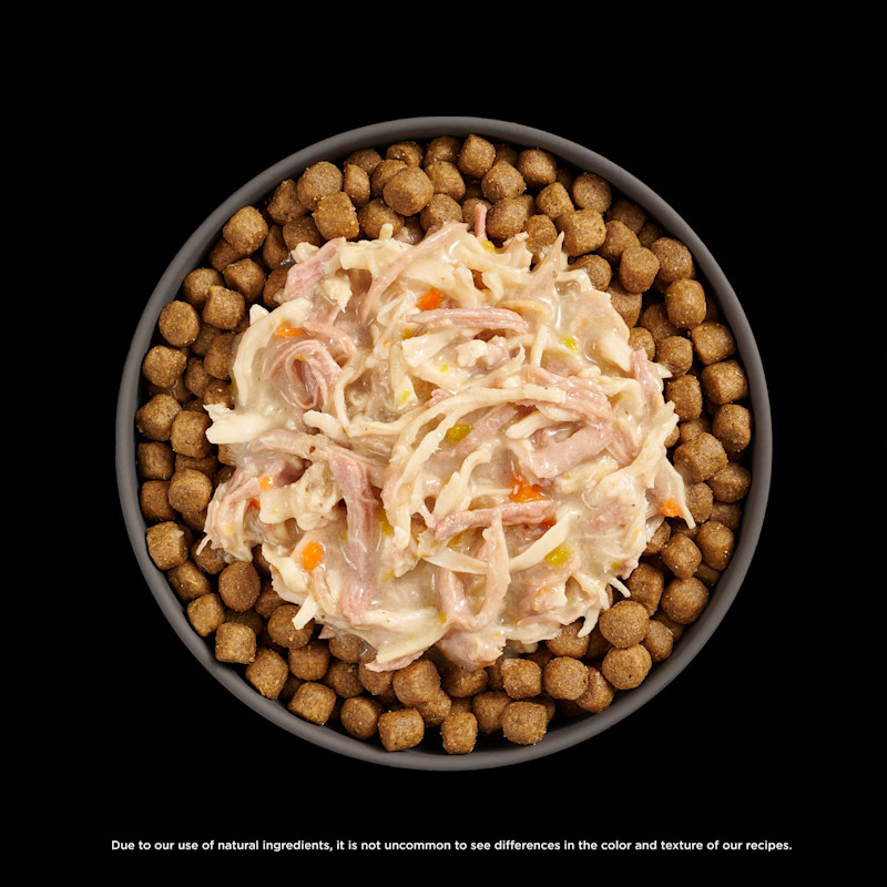 Go! Solutions Booster Weight Management Chicken + Duck food topper on kibble