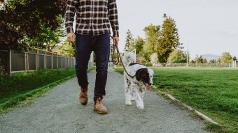 Man walking dog on gravel trail