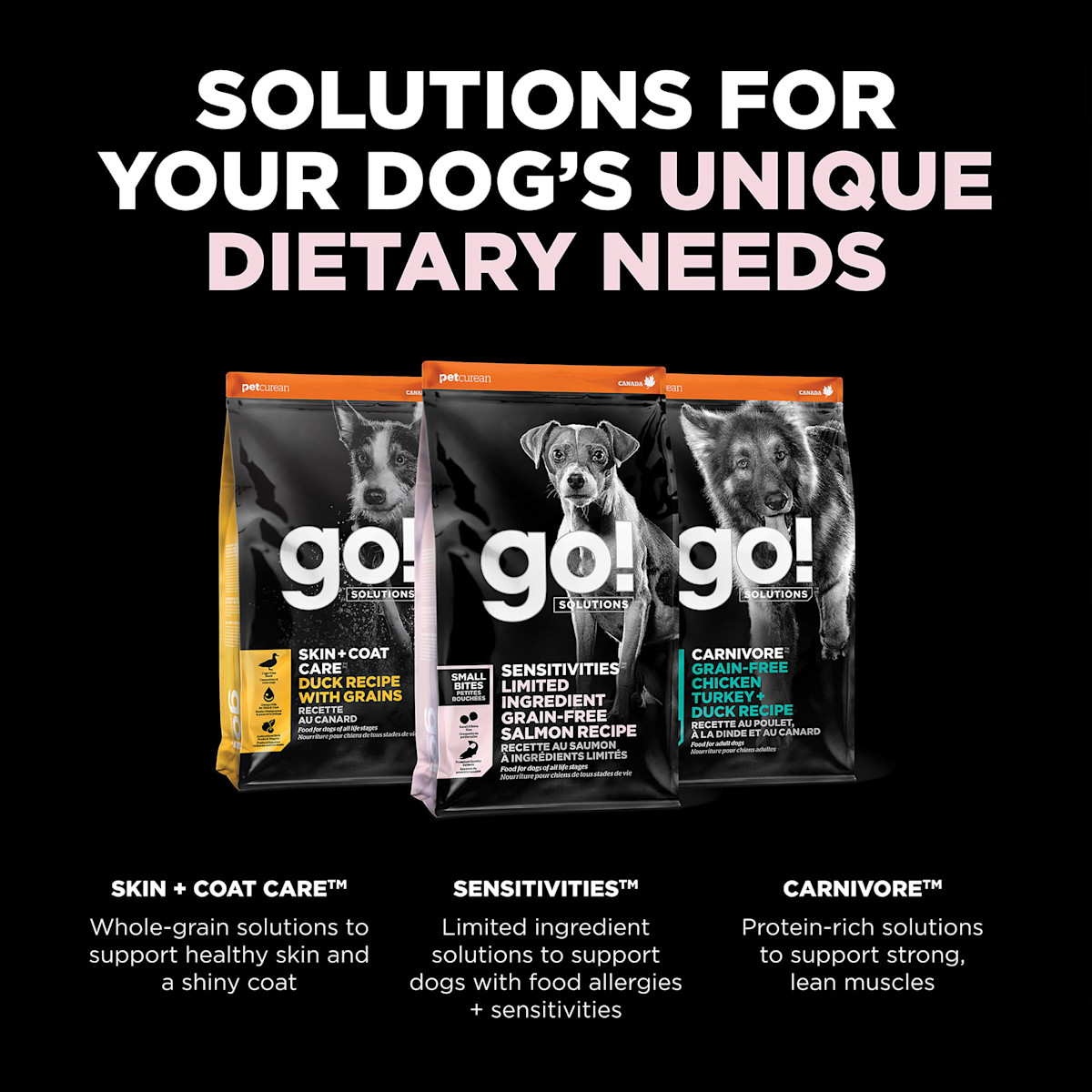 Explore our other solutions for your dog's unique dietary needs