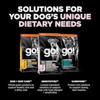 Explore our other solutions for your dog's unique dietary needs