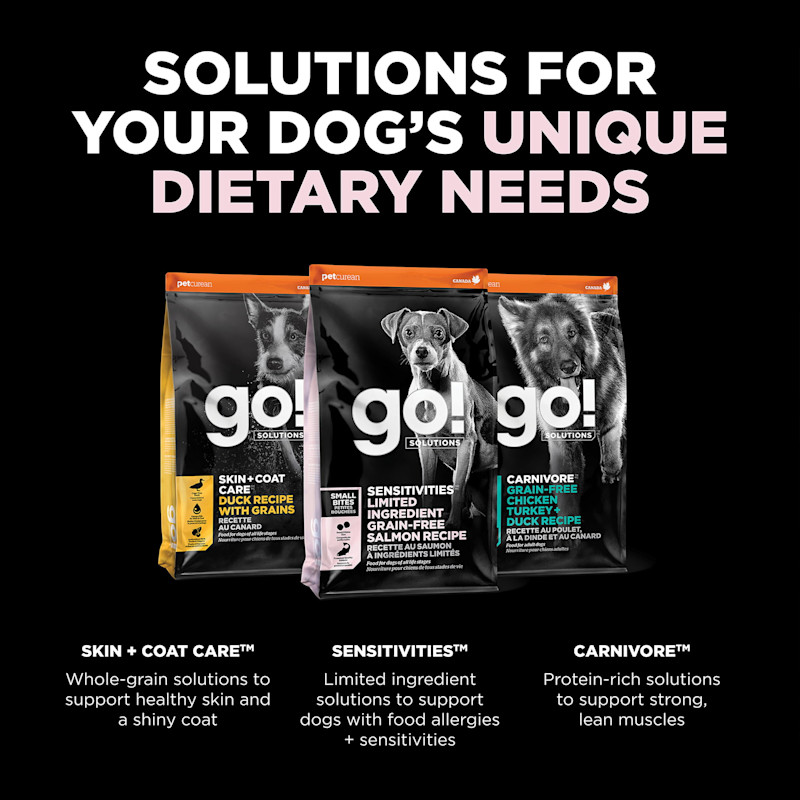 Explore our other solutions for your dog's unique dietary needs