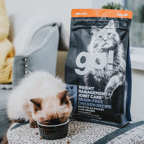 GO! Solutions Weight Management + Joint Care Grain-Free Chicken Dry Cat Food