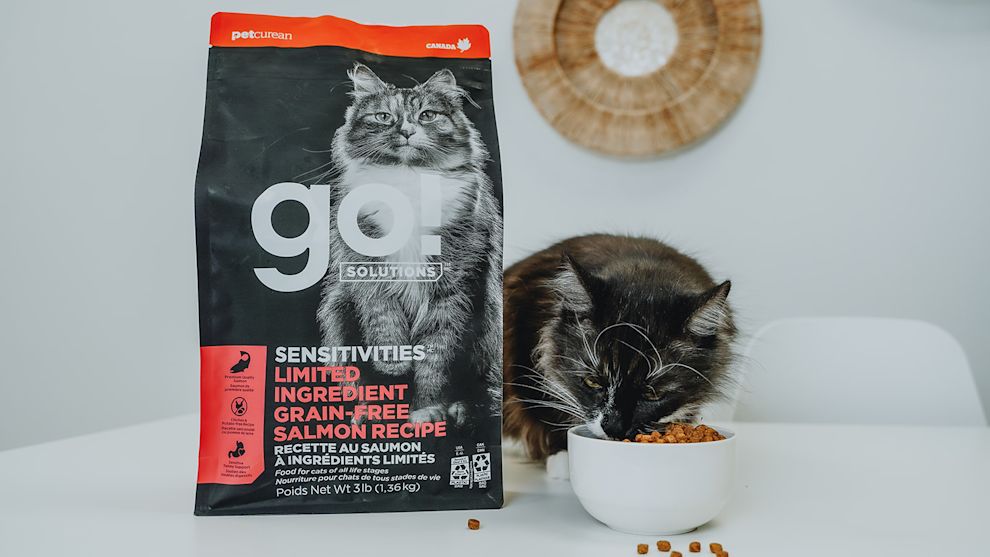 Cat eating Go! Solutions Sensitivities kibble from bowl