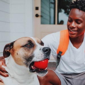 Dog with apple in mouth on porch with owner wearing backpack