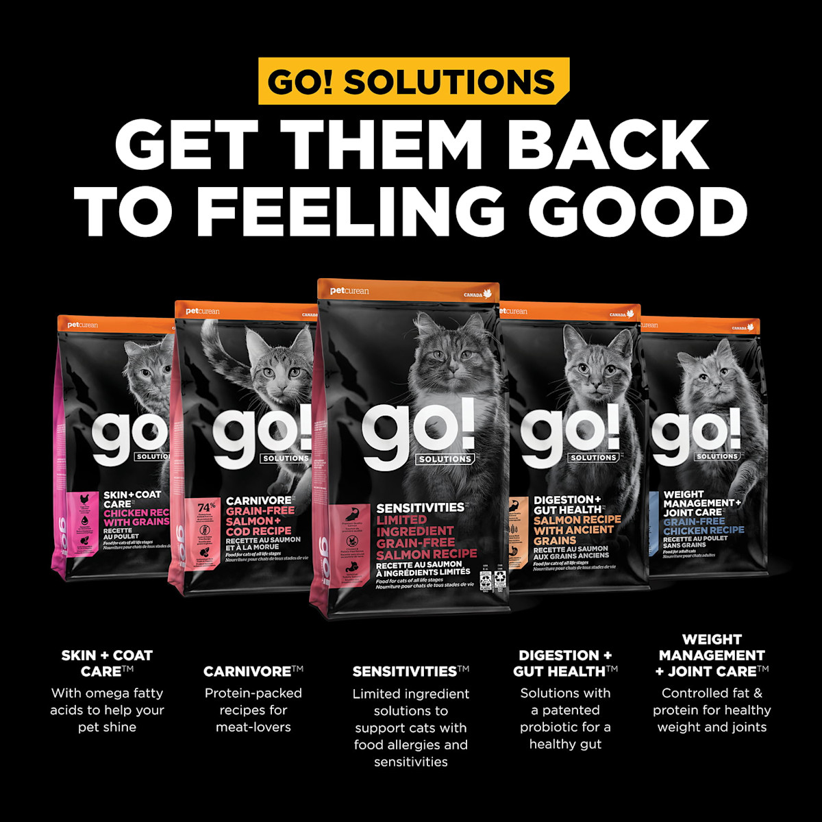 Get them back to feeling good with our other cat food products