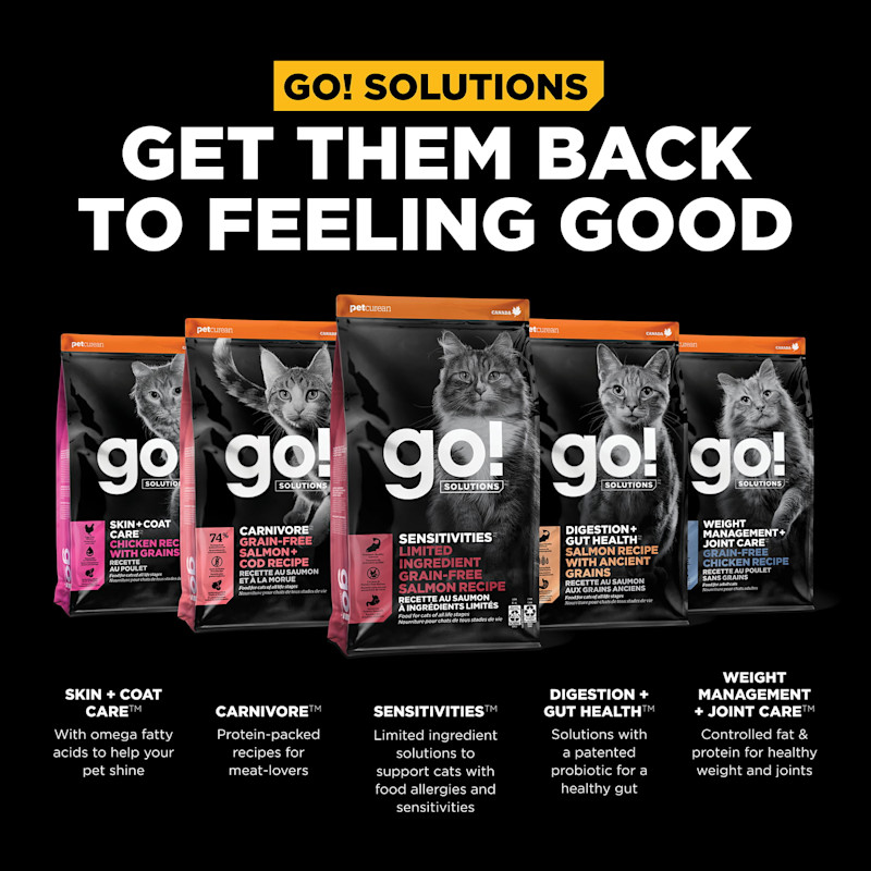 Get them back to feeling good with our other cat food products