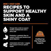 Recipes to support healthy skin and a shiny coat