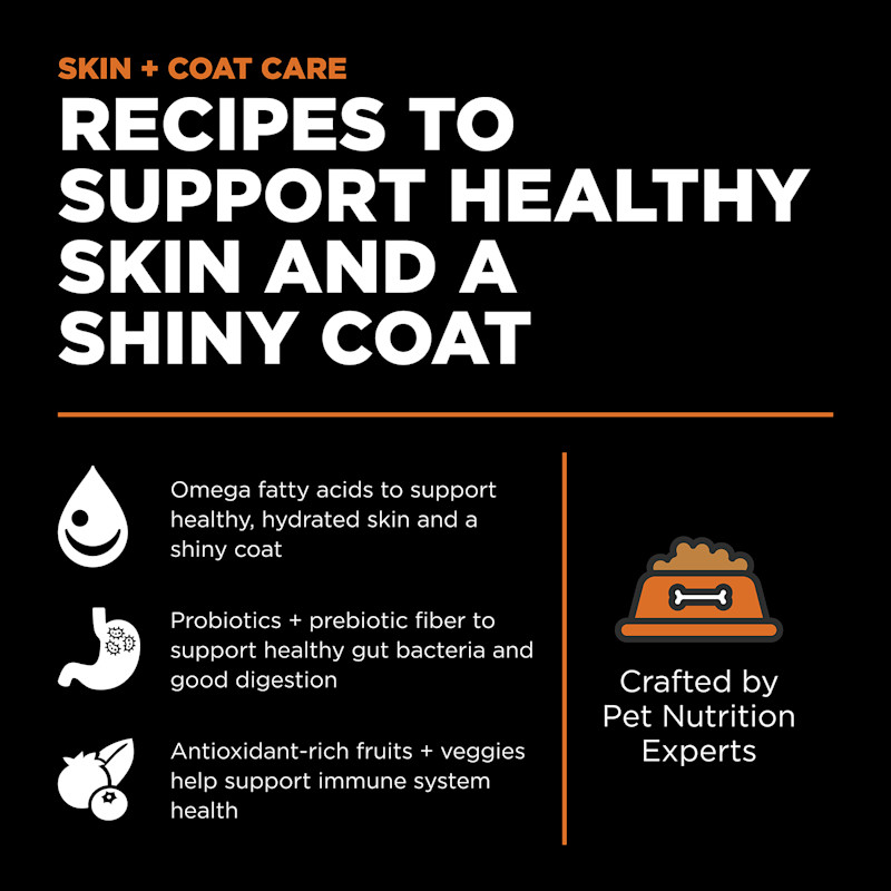 Recipes to support healthy skin and a shiny coat