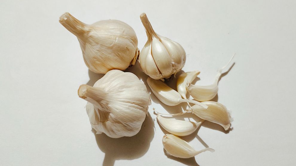 Garlic on white background