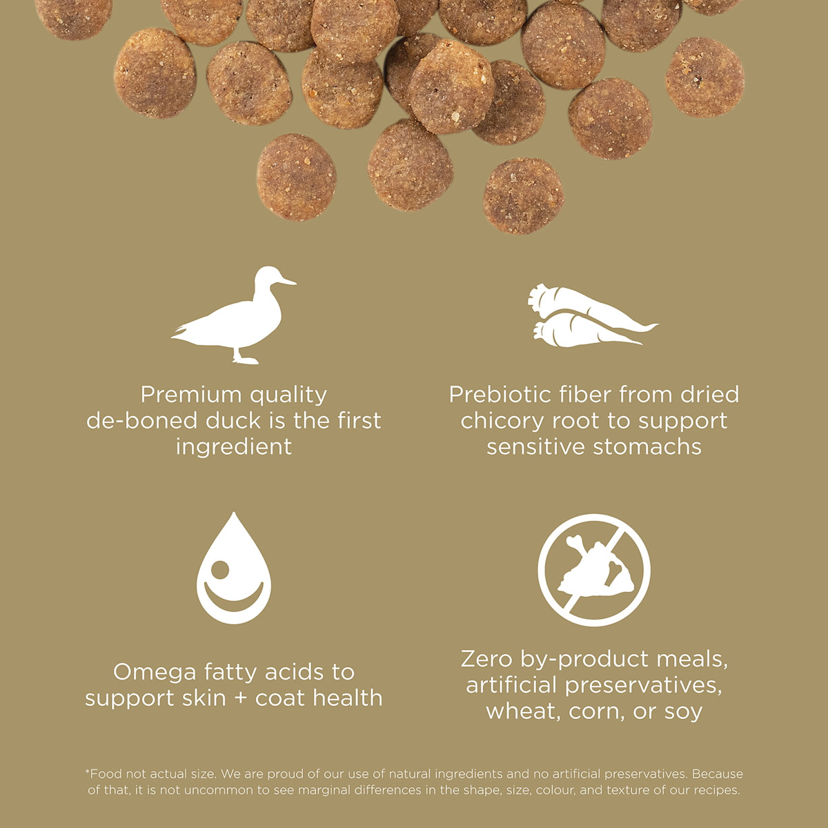 Premium-quality de-boned duck as the first ingredient, prebiotic fiber, omega fatty acids, and zero by-product meals