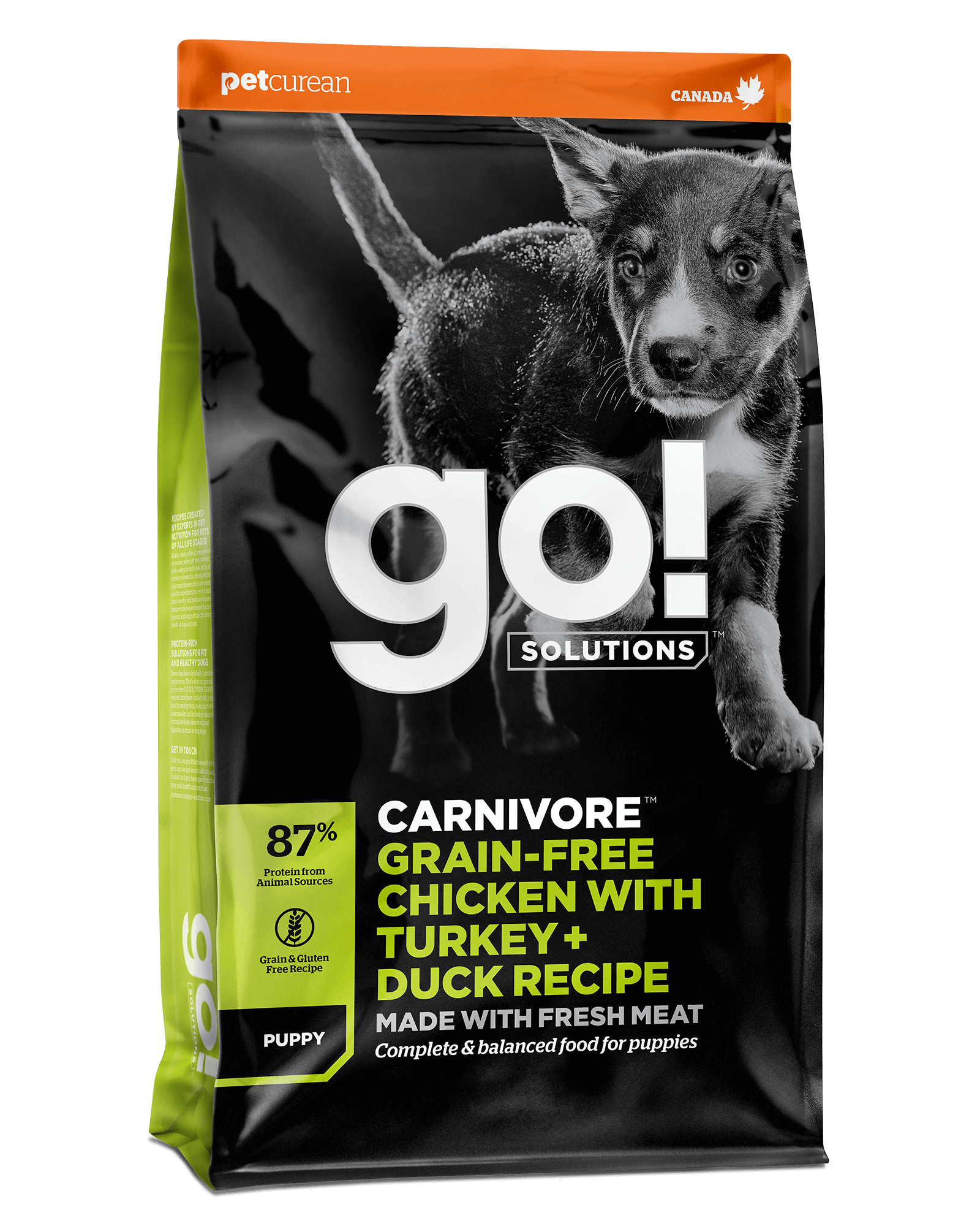 GO! SOLUTIONS CARNIVORE מתכון עוף ללא גרעינים עם תרנגול הודו + פטה ברווז לכלבלבים ללא דגנים לגורים