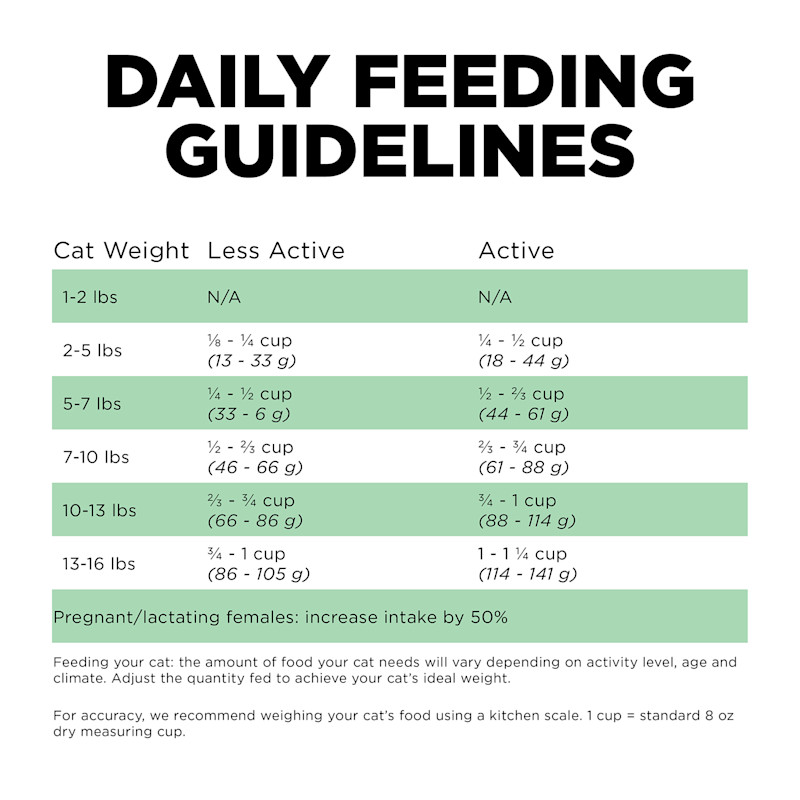Go! Solutions Sensitivities Limited Ingredient Grain-Free Insect Recipe cat food feeding guidelines