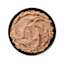 Bowl of GO! SOLUTIONS SKIN + COAT CARE Turkey + Salmon Pâté with Grains for Dogs