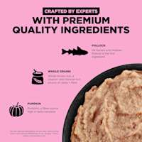 Crafted by experts with premium-quality pollock, whole grains, and pumpkin