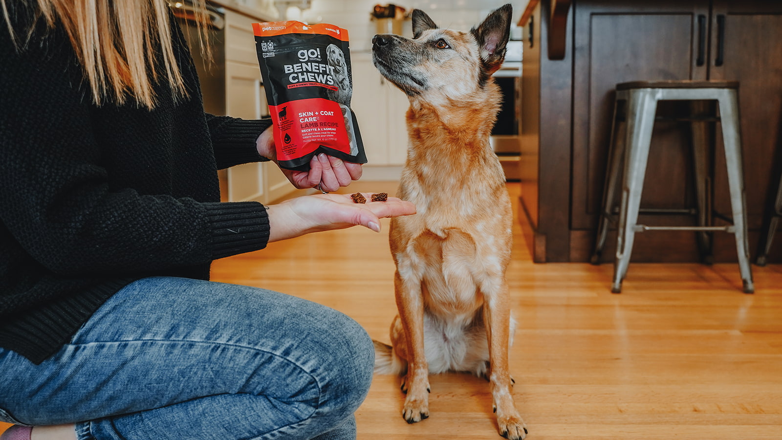 Skin + Coat Care Lamb Dog Treats | Go! Benefit Chews